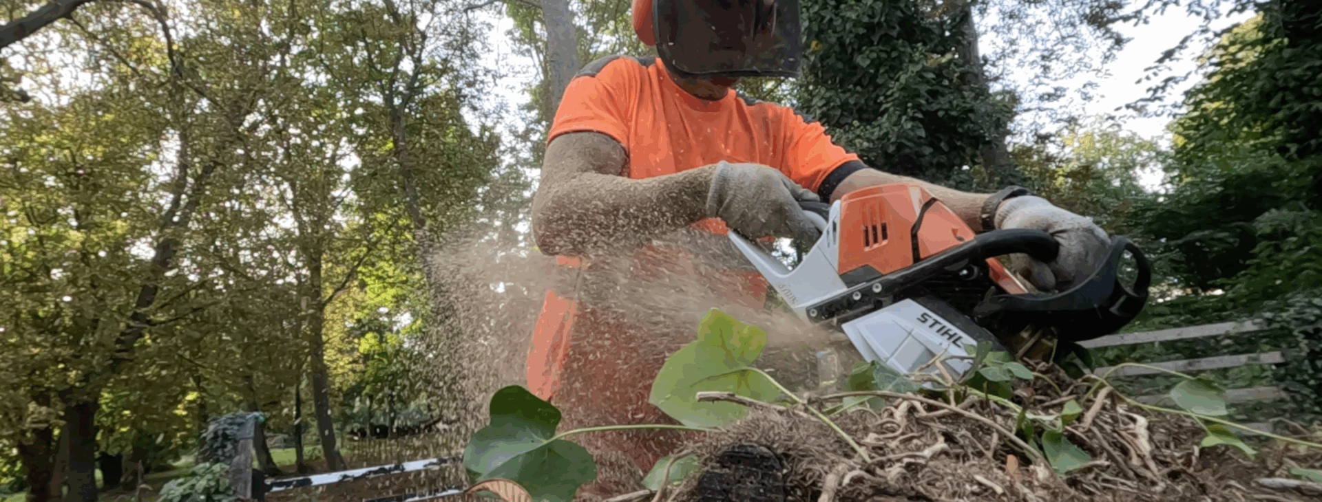 Maintaining healthy trees,
hedges and landscapes
