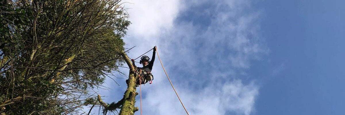 Find out more about our services,
team and area coverage